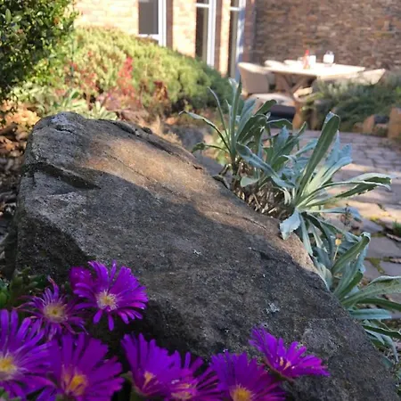 Attraktive Wohnung-elztalidyll-zwischen Mosel,nuerburgring Und Burg Eltz *