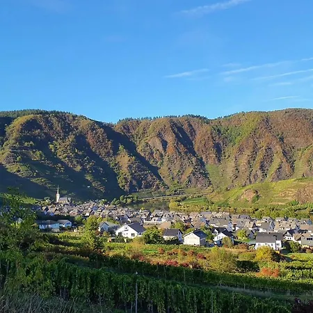 Apartament Attraktive Wohnung-elztalidyll-zwischen Mosel,nuerburgring Und Burg Eltz