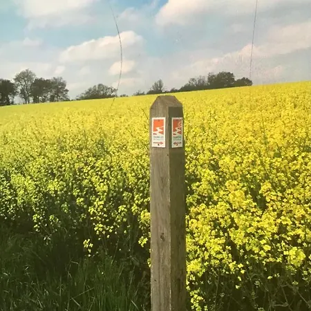 Attraktive Wohnung-elztalidyll-zwischen Mosel,nuerburgring Und Burg Eltz Apartment *