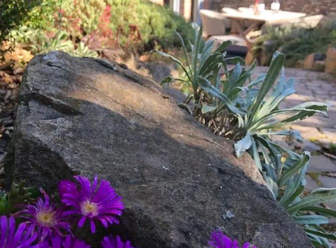 Attraktive Wohnung-elztalidyll-zwischen Mosel,nuerburgring Und Burg Eltz *