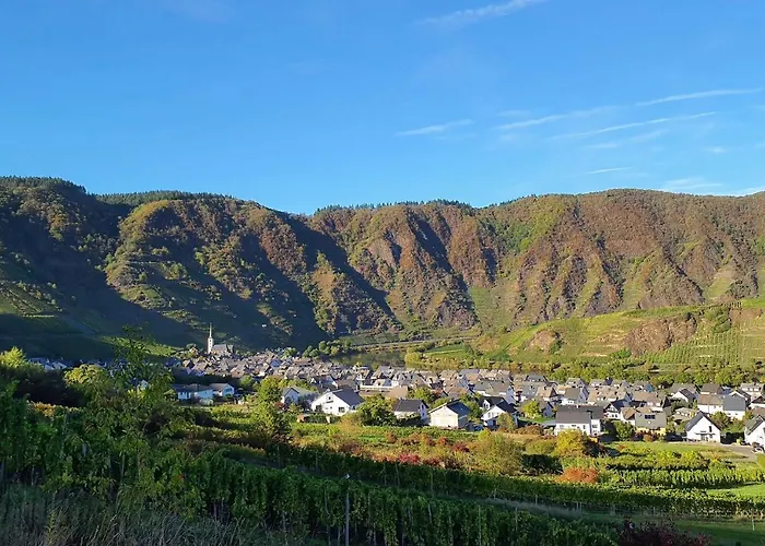 Apartamento Attraktive Wohnung-elztalidyll-zwischen Mosel,nuerburgring Und Burg Eltz