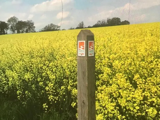 Attraktive Wohnung-elztalidyll-zwischen Mosel,nuerburgring Und Burg Eltz شقة *